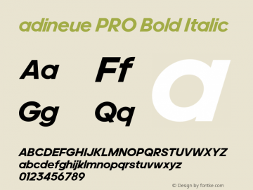 adineue PRO Bold Italic Version 1.000;PS 1.0;hotconv 1.0.72;makeotf.lib2.5.5900图片样张