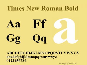 Times New Roman Bold Version 7.02图片样张