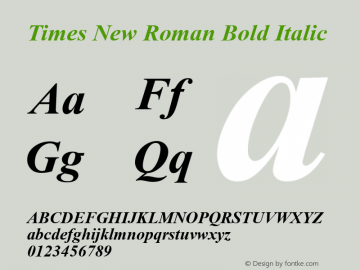 Times New Roman Bold Italic Version 7.02图片样张