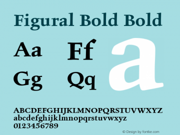 Figural Bold Plain 005.000图片样张