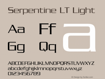 Serpentine LT Light 006.000图片样张