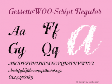 Gessetto W00 Script Version 1.00图片样张