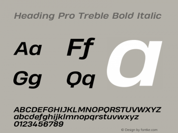 Heading Pro Treble Bold Italic Version 1.001;PS 001.001;hotconv 1.0.70;makeotf.lib2.5.58329图片样张
