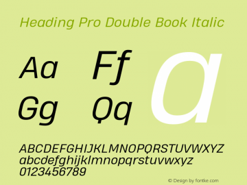 Heading Pro Double Book Italic Version 1.001;PS 001.001;hotconv 1.0.88;makeotf.lib2.5.64775图片样张