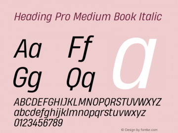 Heading Pro Medium Book Italic Version 1.001;PS 001.001;hotconv 1.0.88;makeotf.lib2.5.64775图片样张