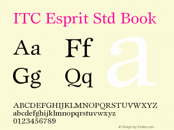 EspritStd-Book Version 2.031;PS 002.000;hotconv 1.0.50;makeotf.lib2.0.16970图片样张