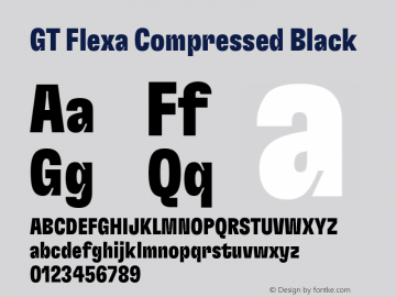 GT Flexa Compressed Black Version 2.005图片样张
