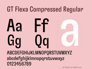 GT Flexa Compressed Regular Version 2.005图片样张