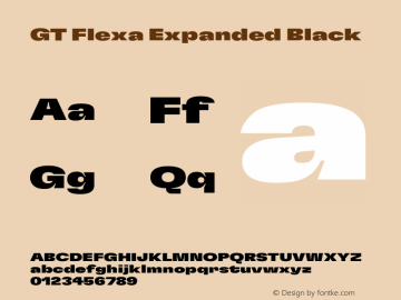 GT Flexa Expanded Black Version 2.005图片样张