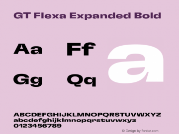 GT Flexa Expanded Bold Version 2.005图片样张