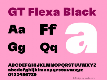 GT Flexa Black Version 2.005图片样张