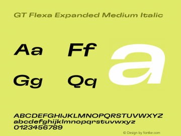 GT Flexa Expanded Medium Italic Version 2.005图片样张