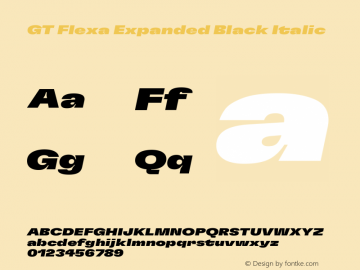 GT Flexa Expanded Black Italic Version 2.005图片样张
