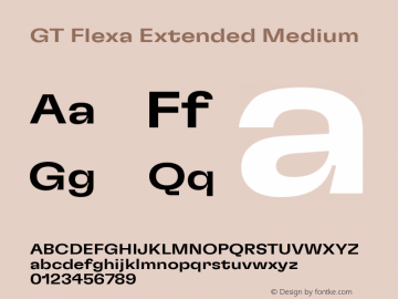 GT Flexa Extended Medium Version 2.005图片样张