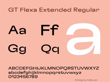 GT Flexa Extended Regular Version 2.005图片样张
