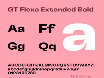 GT Flexa Extended Bold Version 2.005图片样张