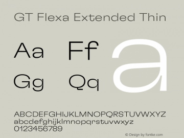 GT Flexa Extended Thin Version 2.005图片样张