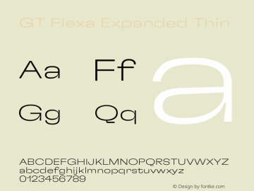 GT Flexa Expanded Thin Version 2.005图片样张