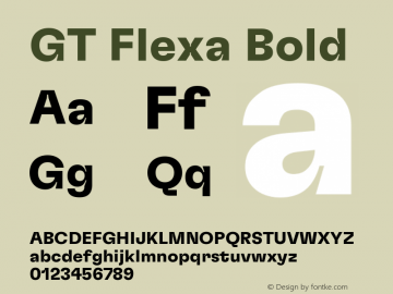 GT Flexa Bold Version 2.005图片样张
