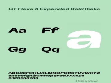 GT Flexa X Expanded Bold Italic Version 2.005图片样张