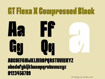 GT Flexa X Compressed Black Version 2.005图片样张