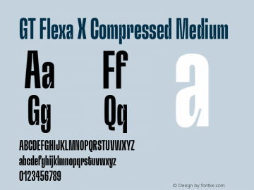 GT Flexa X Compressed Medium Version 2.005图片样张