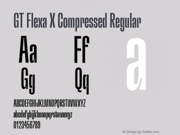 GT Flexa X Compressed Regular Version 2.005图片样张