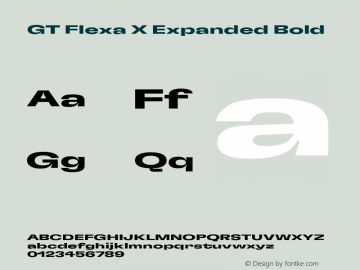 GT Flexa X Expanded Bold Version 2.005图片样张