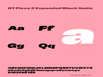GT Flexa X Expanded Black Italic Version 2.005图片样张
