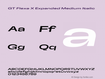 GT Flexa X Expanded Medium Italic Version 2.005图片样张