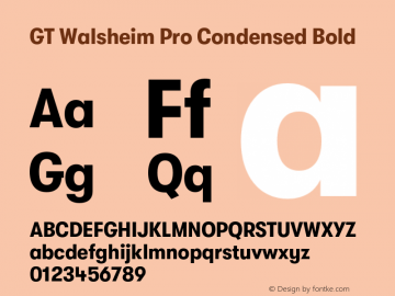 GT Walsheim Pro Condensed Bold Version 2.005;PS 002.005;hotconv 1.0.88;makeotf.lib2.5.64775图片样张