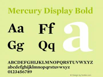 MercuryDisplay-Bold Version 1.301 | web-TT图片样张