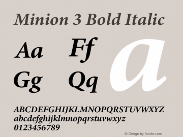 Minion3-BoldItalic Version 1.021;hotconv 1.0.105;makeotfexe 2.5.65591图片样张