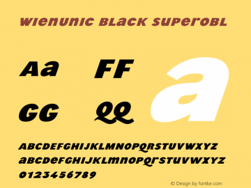 WienUnic Black Superobl Version 3.001;FEAKit 1.0图片样张