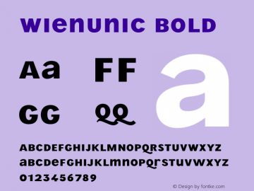 WienUnic Bold Version 3.001;FEAKit 1.0图片样张