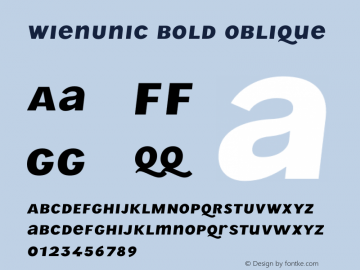 WienUnic Bold Oblique Version 3.001;FEAKit 1.0图片样张