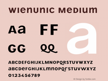 WienUnic Medium Version 3.001;FEAKit 1.0图片样张