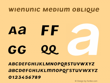 WienUnic Medium Oblique Version 3.001;FEAKit 1.0图片样张