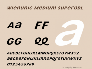 WienUnic Medium Superobl Version 3.001;FEAKit 1.0图片样张