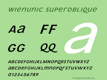 WienUnic Superoblique Version 3.001;FEAKit 1.0图片样张