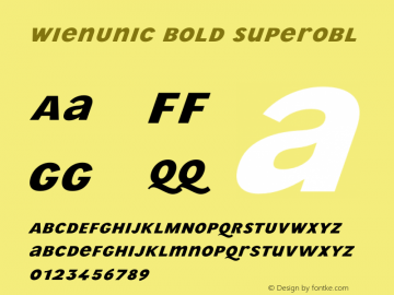 WienUnic Bold Superobl Version 3.001;FEAKit 1.0图片样张