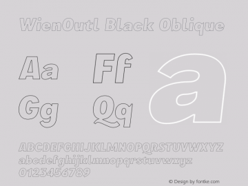 WienOutl Black Oblique Version 3.000;FEAKit 1.0图片样张