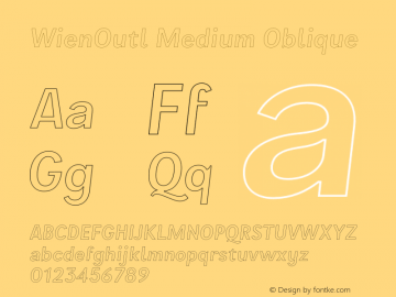 WienOutl Medium Oblique Version 3.000;FEAKit 1.0图片样张