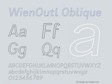 WienOutl Oblique Version 3.000;FEAKit 1.0图片样张