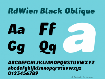 RdWien Black Oblique Version 3.000;FEAKit 1.0图片样张