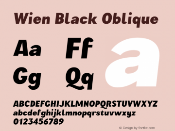 Wien Black Oblique Version 3.000;FEAKit 1.0图片样张