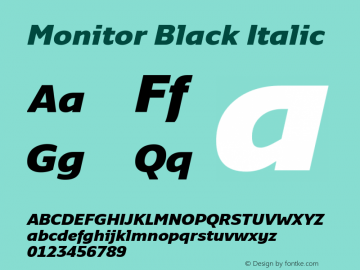 Monitor Black Italic Version 3.001 | web-TT图片样张