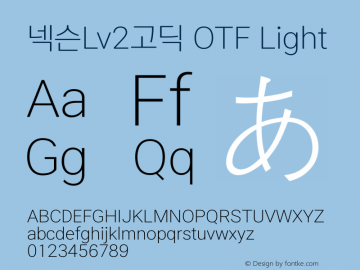 넥슨Lv2고딕 OTF Light 图片样张