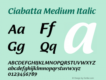 Ciabatta-MediumItalic Version 1.000 | w-rip DC20190315图片样张