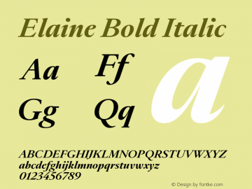 Elaine Bold Italic Version 1.000;hotconv 1.0.109;makeotfexe 2.5.65596图片样张